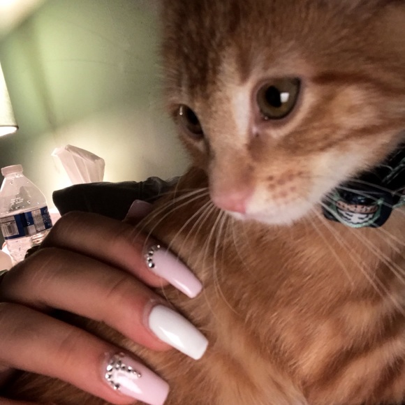 Meet the Posher - Picture 3 of 6